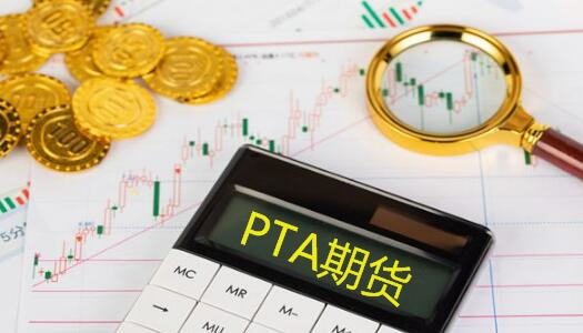 PTA期貨知識介紹PTA期貨交易規則