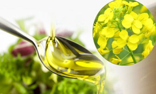 怎樣查菜油期貨價格？菜油期貨保證