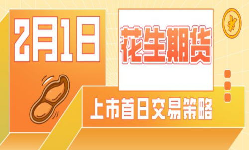 花生期貨的手續費是多少？