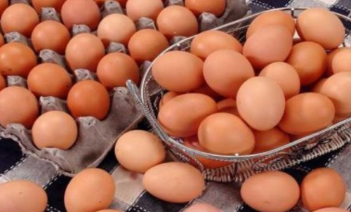 雞蛋期貨的實時行情分析：雞蛋手續