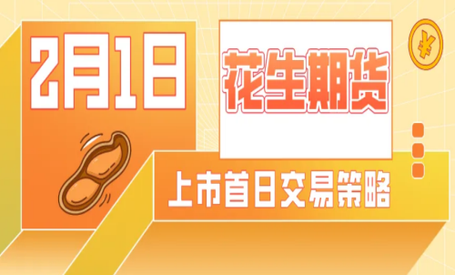 怎么計算花生期貨的交易成本？手續